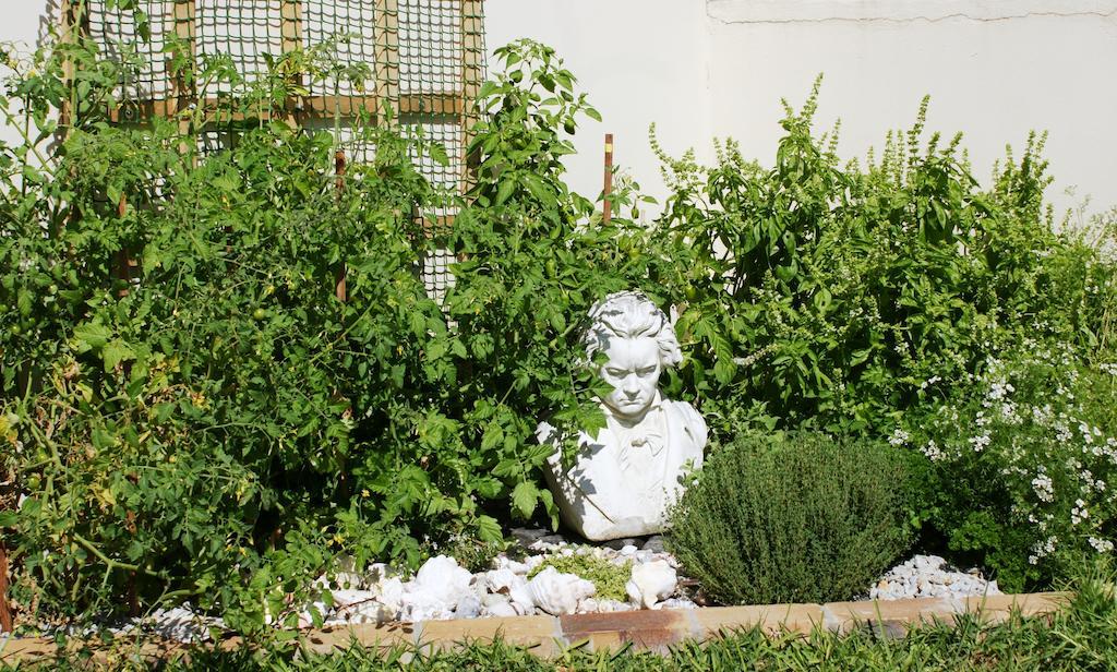Le Marina B&B Velddrif Luaran gambar